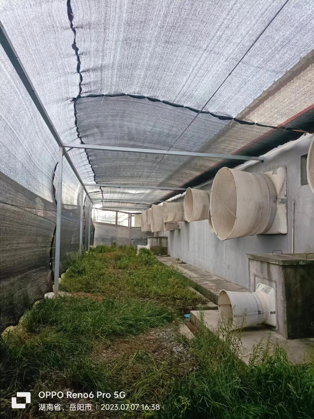 畜牧养殖厂、屠宰厂除臭